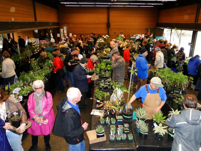 Sale2013.jpg