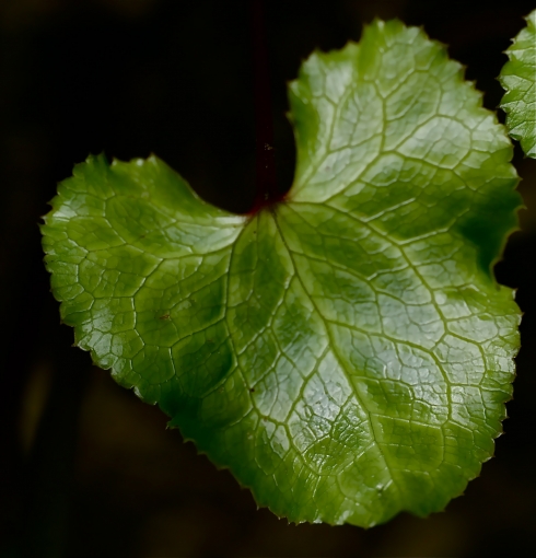 image004.jpg